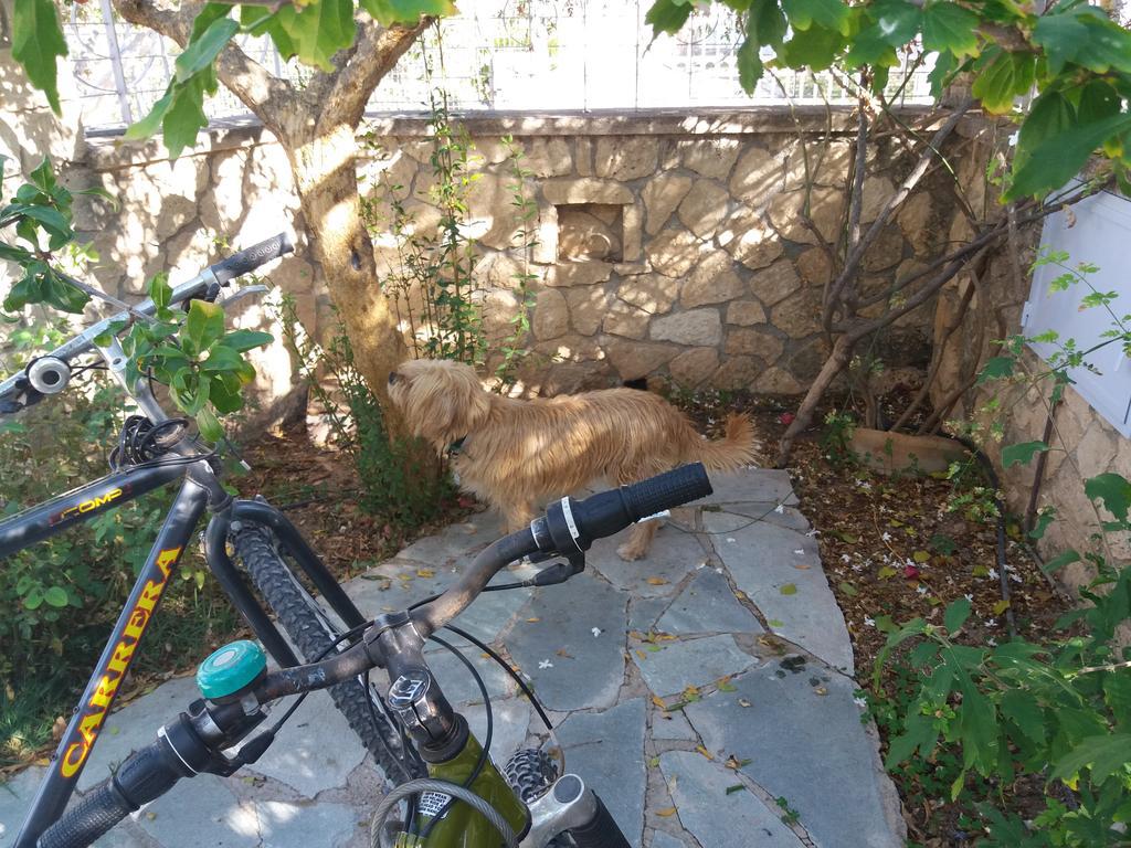 Antonia'S House With Free Bikes Apartment Aegina Exterior photo